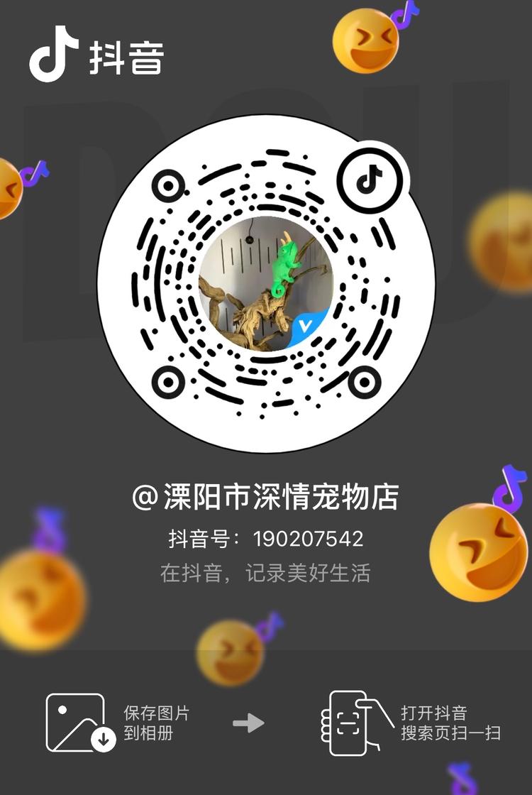 溧阳市第一深情宠物店