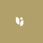优优花生米888888