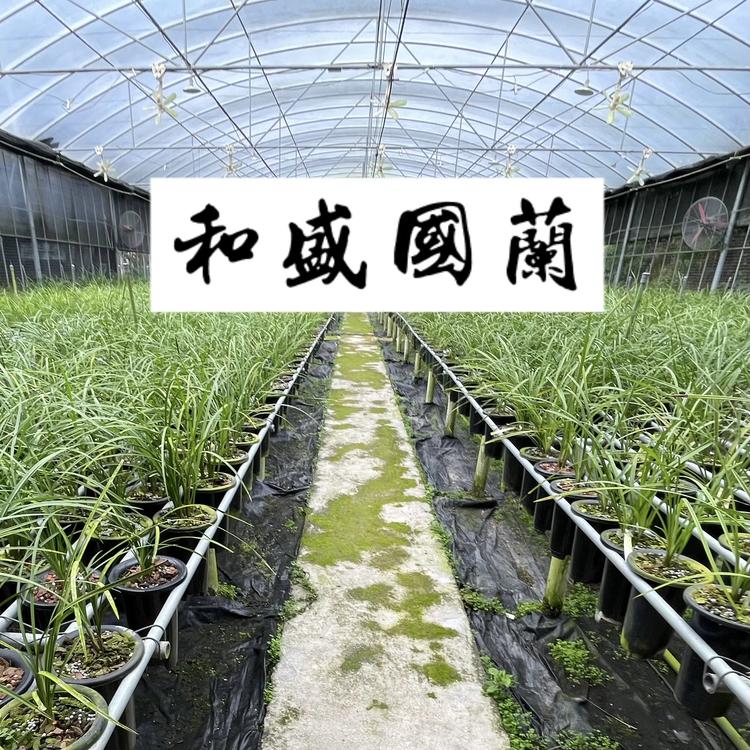 和盛国兰