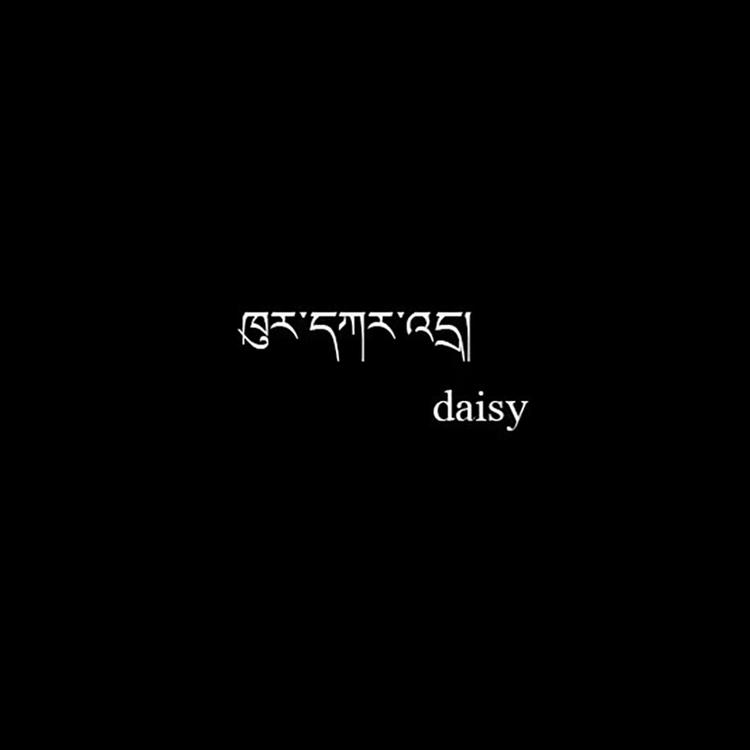 DAISY工作室
