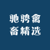 甘肃驰骋藏香猪