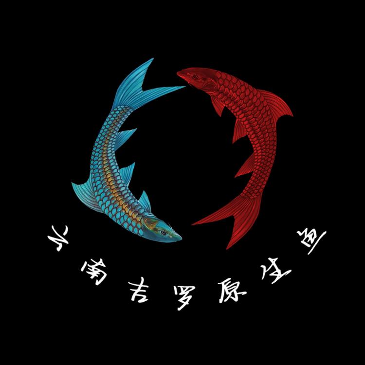 云南吉罗原生鱼
