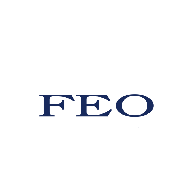 FEO钟表企业店