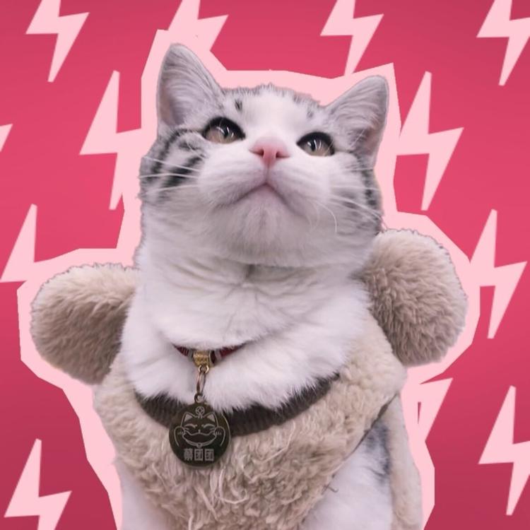 一团团棉品家纺