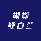 蝴蝶鲤白兰
