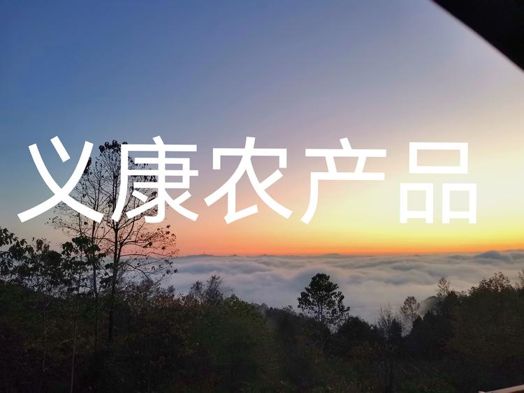 巴中市恩阳区玉山镇义康农产品经营部的小店