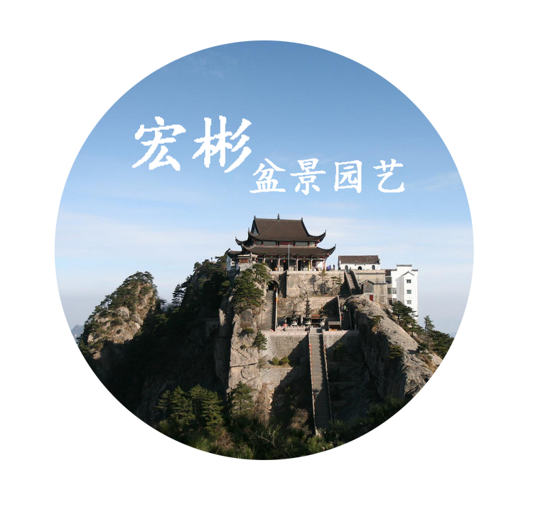 宏彬盆景园艺