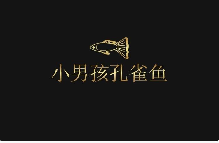 小男孩孔雀鱼