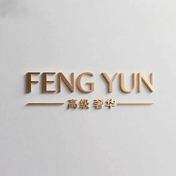 FENG YUN饰品2