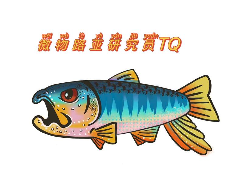 微鱼探索