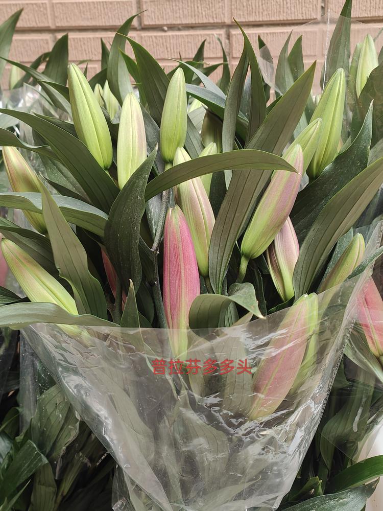 久鲜花卉礼品甄选铺
