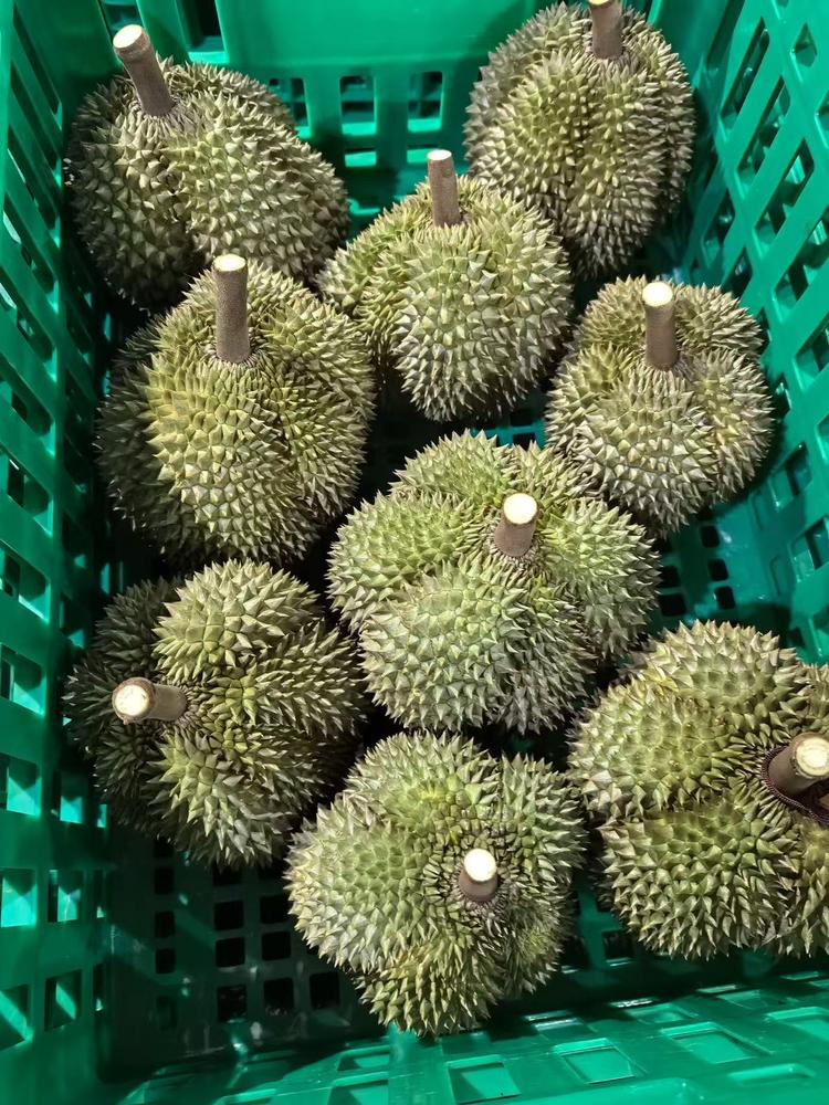 果缤纷果蔬优选小店