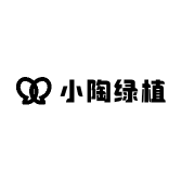 小陶绿植盆景
