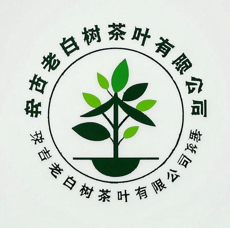 安吉老白树茶业