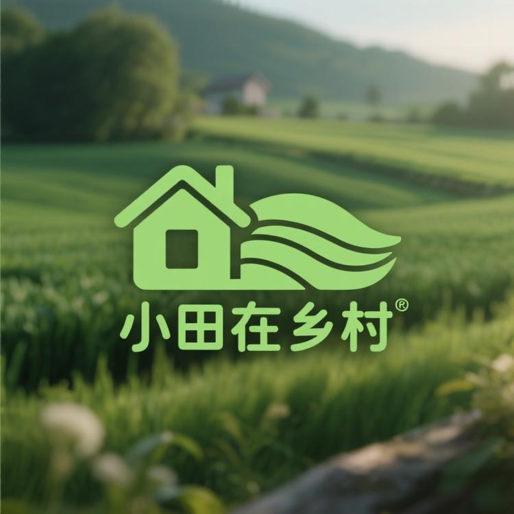 小田在乡村