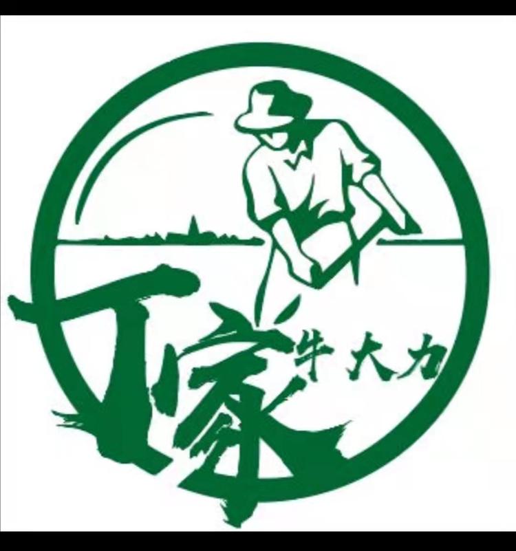 丁家牛大力企业店