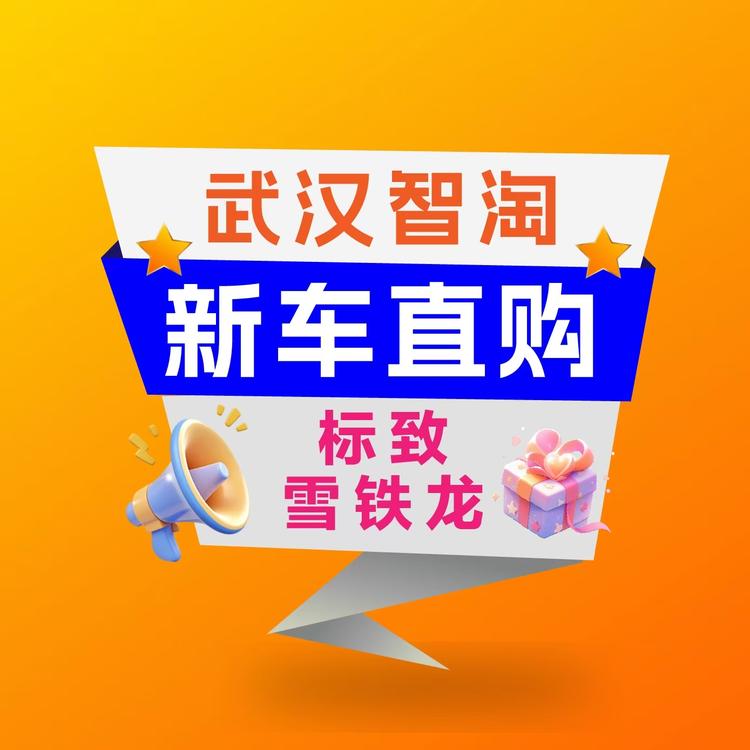 武汉智淘新车