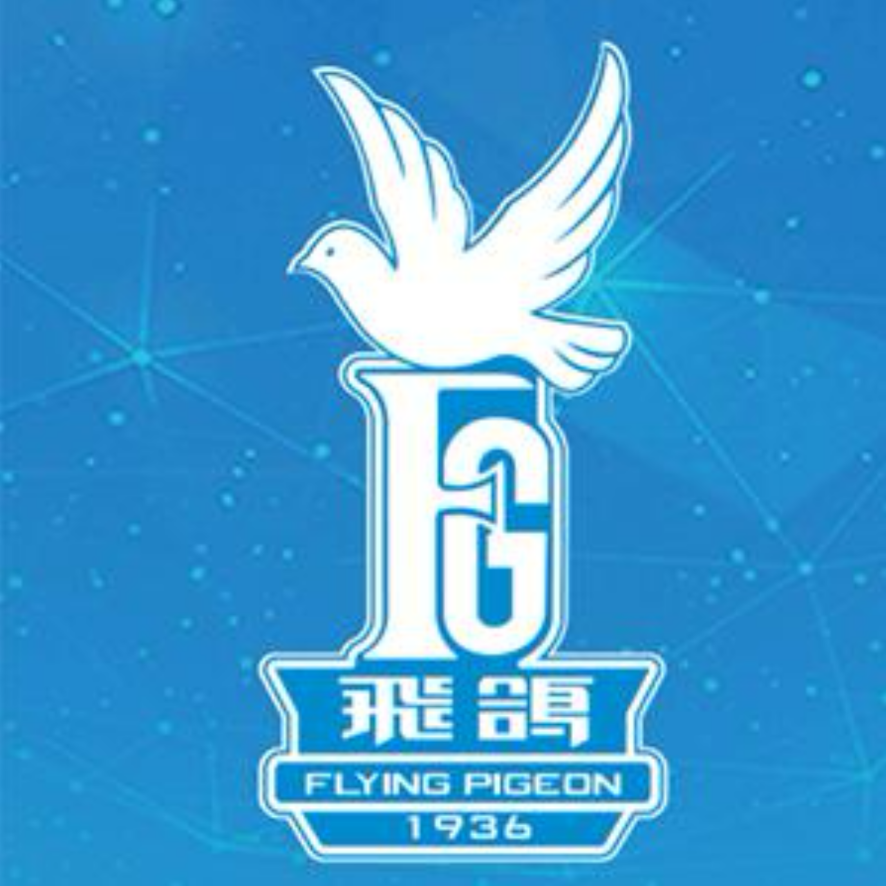 飞鸽津润电动车专卖店