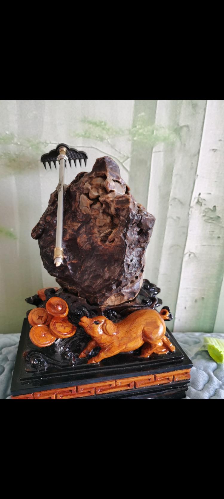 相约阿拉善