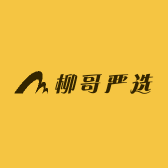 柳哥严选