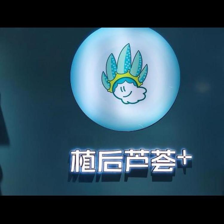 东莞黄江植后唐三草美容养生馆