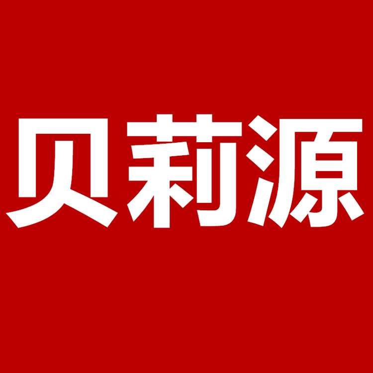 贝莉源女鞋