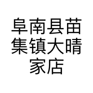 阜南县苗集镇大晴家店的小店