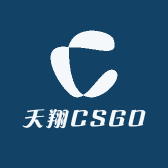 天翔CSGO