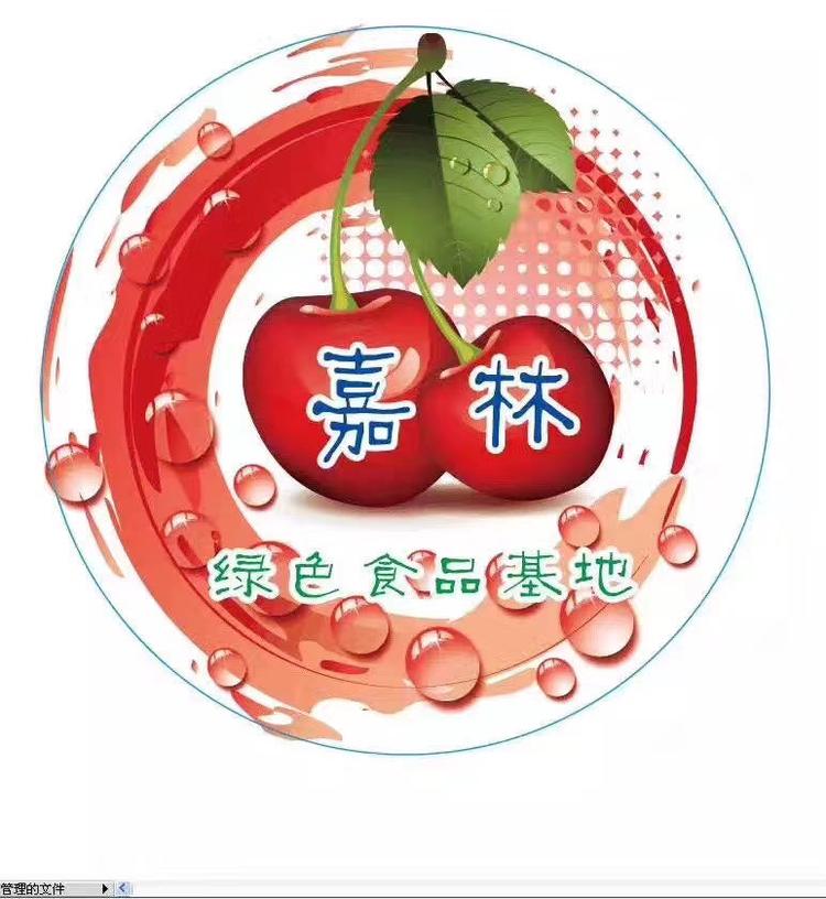 大连樱桃农合社