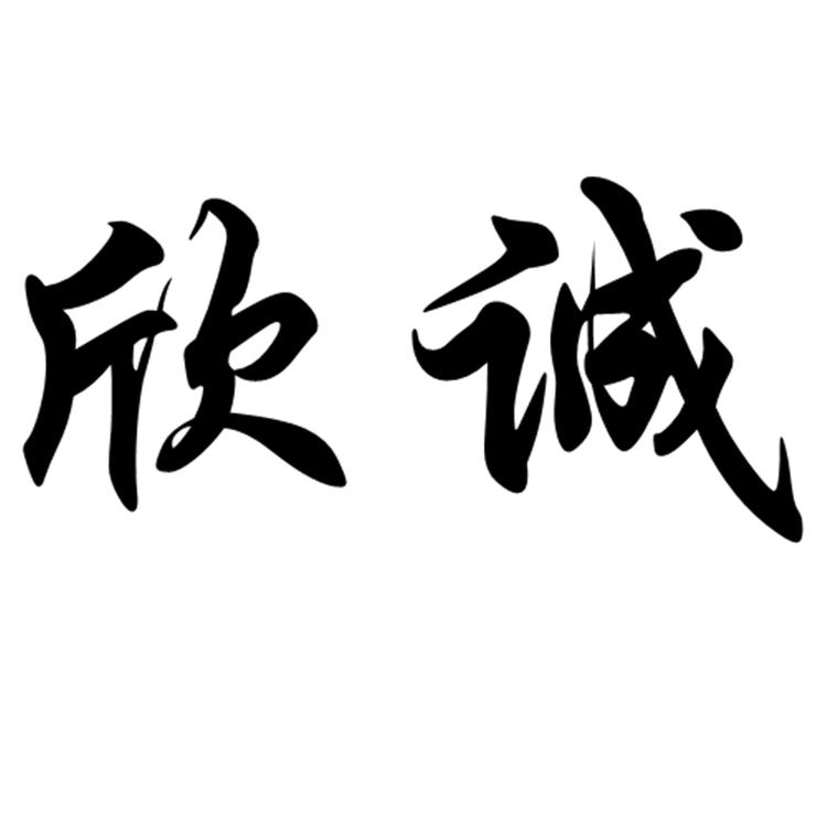 欣诚手配个体店