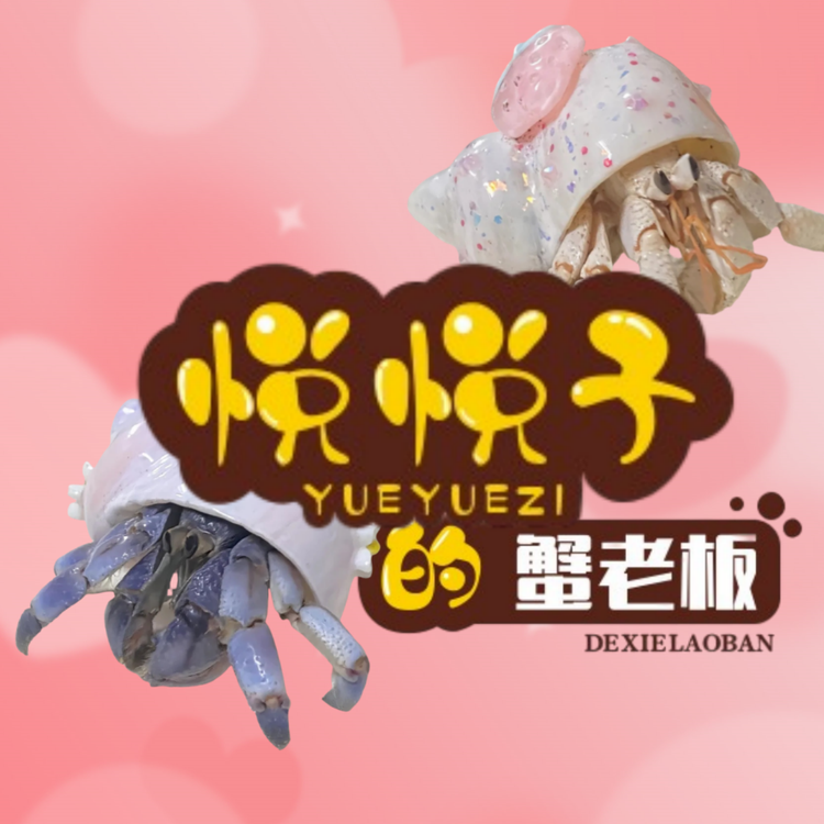 悦悦子的蟹老板