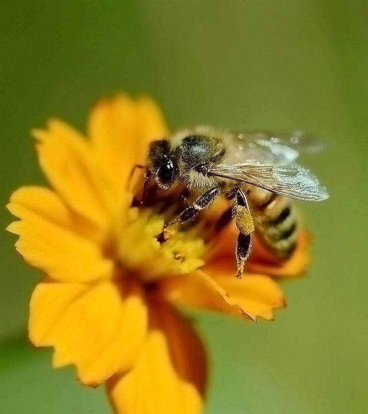 甜蜜东上企业店