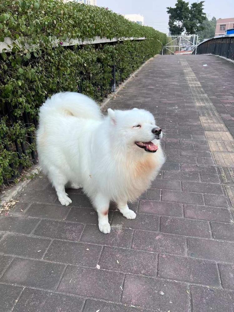 松溪县鼎盛台球室的小店