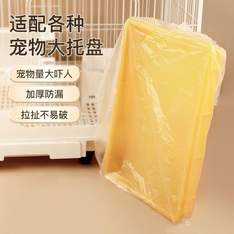 云翎飞燕包装