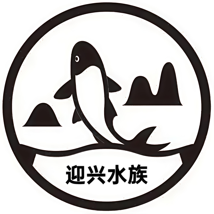 迎兴水族