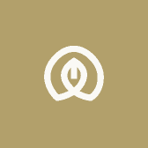 宸涛
