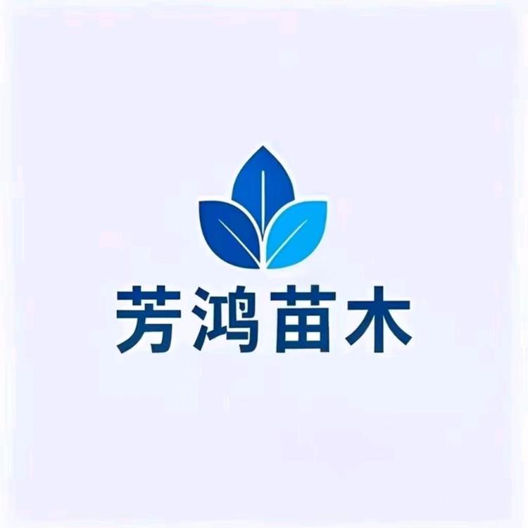 芳鸿苗木专营店