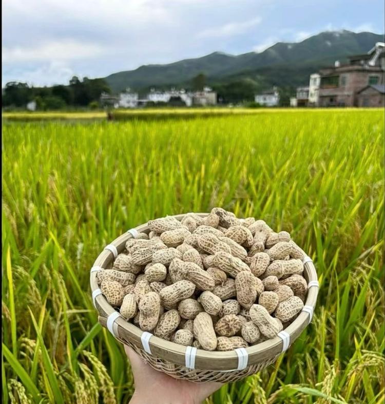 万绿忠信花生店铺