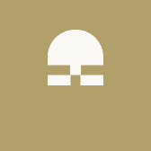 不恋过往不喂将来