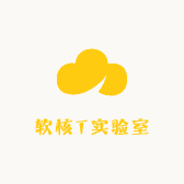 软核T实验室