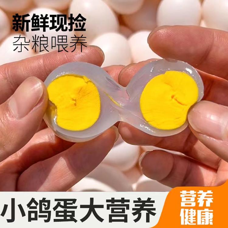 确山杂粮鸽子蛋农场