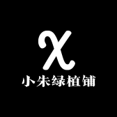 小朱绿植铺