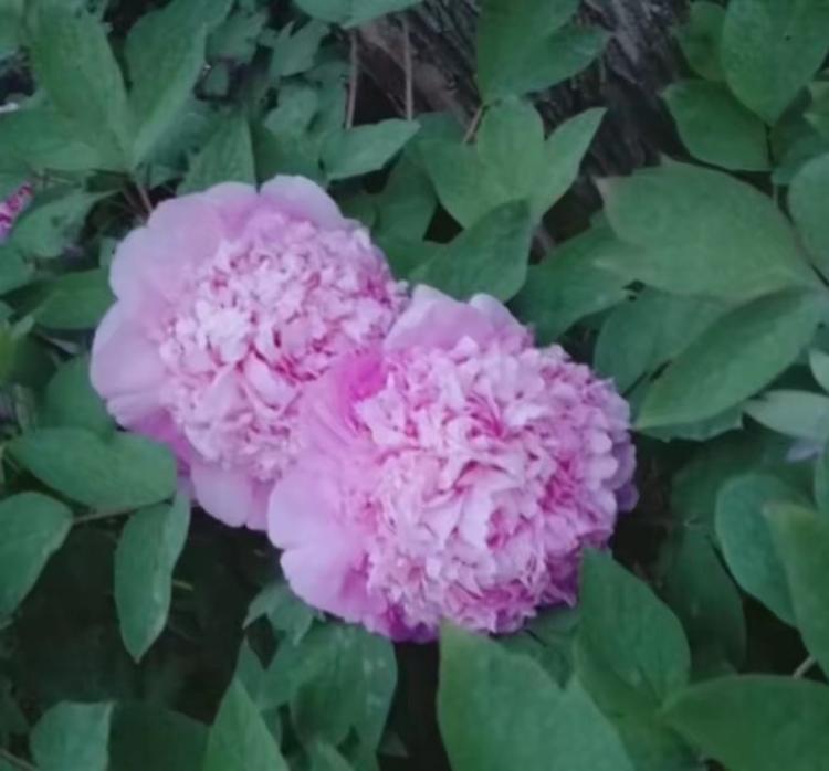 旺铺生活精品店