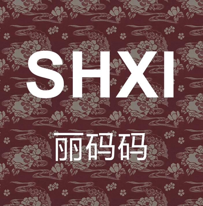 SHXI丽码码时尚女装专卖店