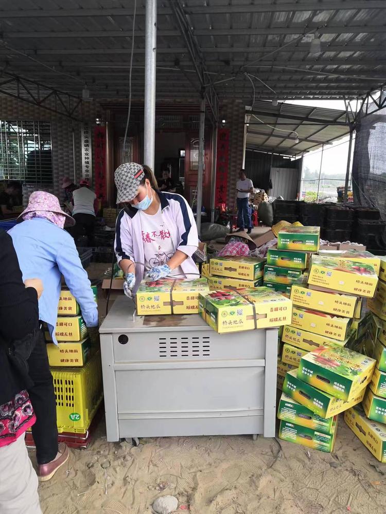澄迈桥头圣冠农产品店