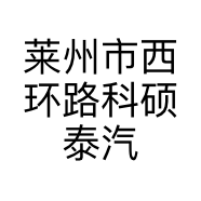 莱州市西环路科硕泰汽车用品店的小店个体店