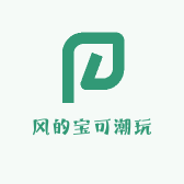 风的宝可潮玩