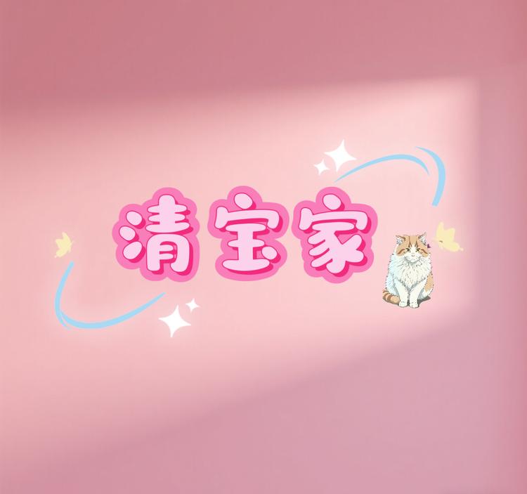 清宝家