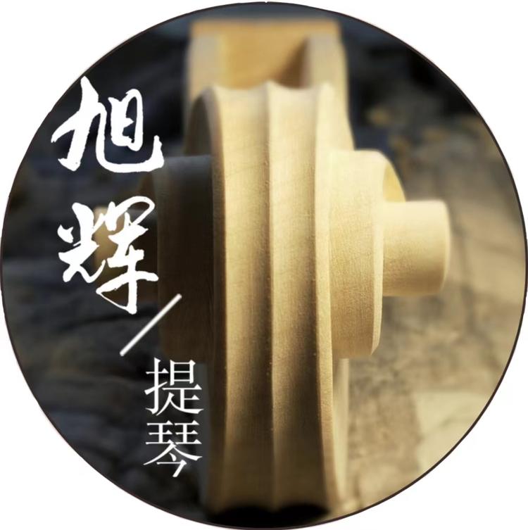 旭辉提琴
