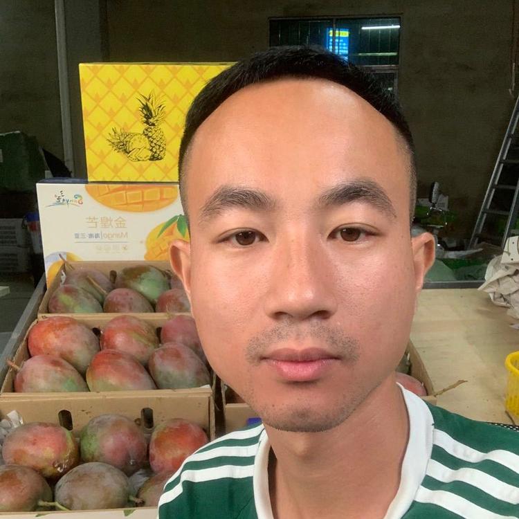 海南小黄水果易迦果行